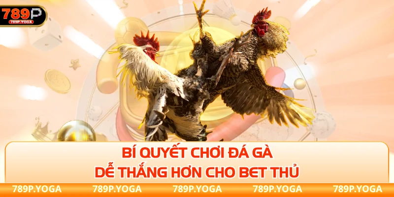 Bí quyết chơi đá gà dễ thắng hơn cho bet thủ