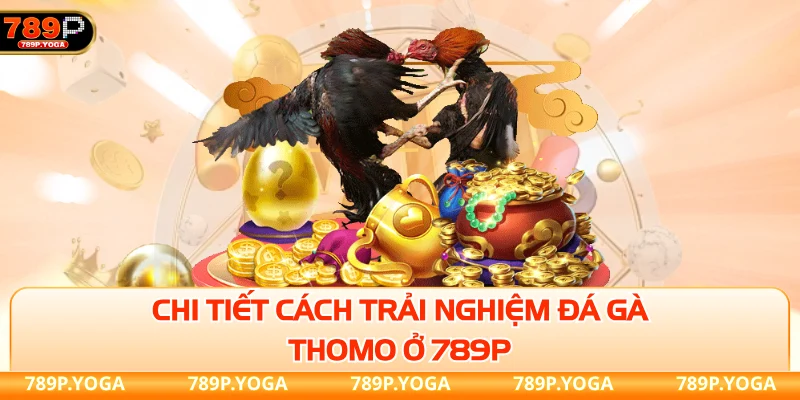 Chi tiết cách trải nghiệm đá gà Thomo ở 789P