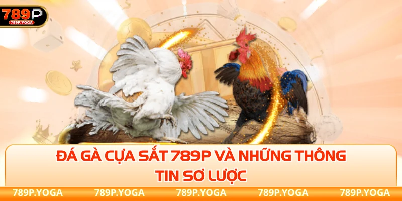 Đá gà cựa sắt 789P và những thông tin sơ lược