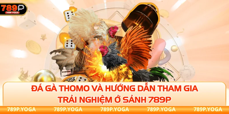Đá Gà thomo