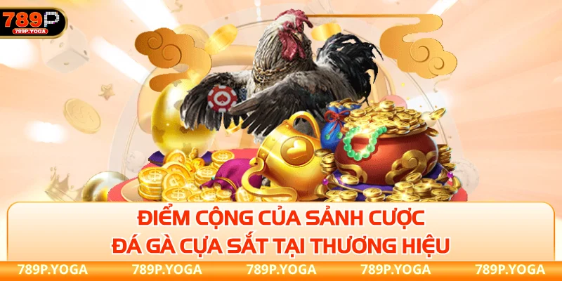 Điểm cộng của sảnh cược đá gà cựa sắt tại thương hiệu