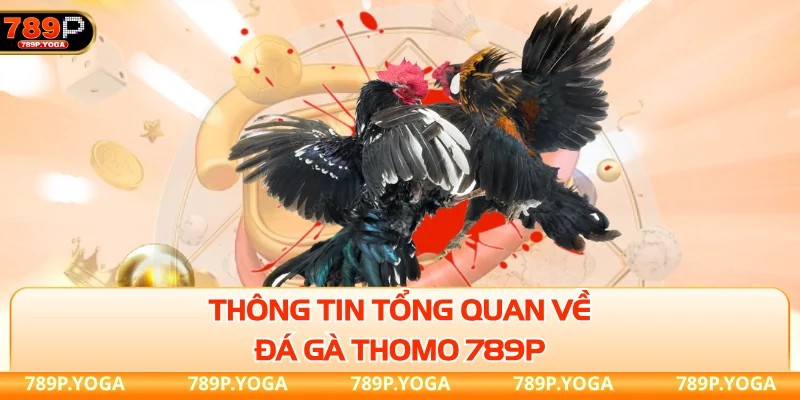 Thông tin tổng quan về đá gà Thomo 789P