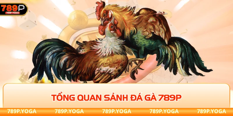 Tổng quan sảnh đá gà 789P độc quyền