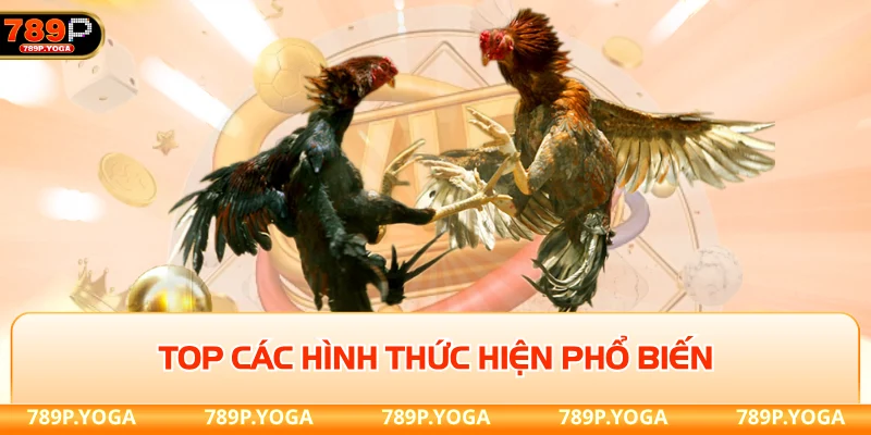 Top các hình thức hiện phổ biến về đá gà 