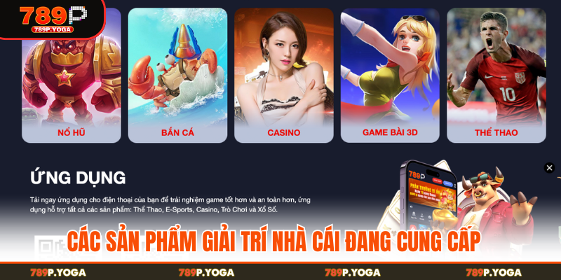 Các sản phẩm giải trí nhà cái đang cung cấp